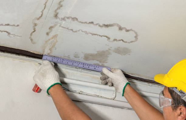 Reliable Burst Pipe Cleanup contractor in Samburg, TN by Water Damage Irwin